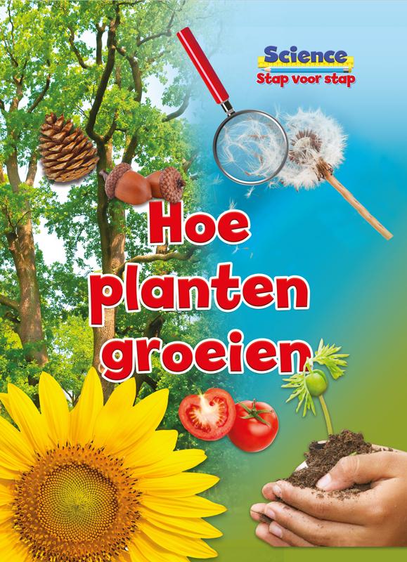 Hoe planten groeien