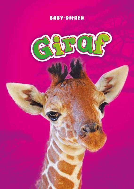 Giraf