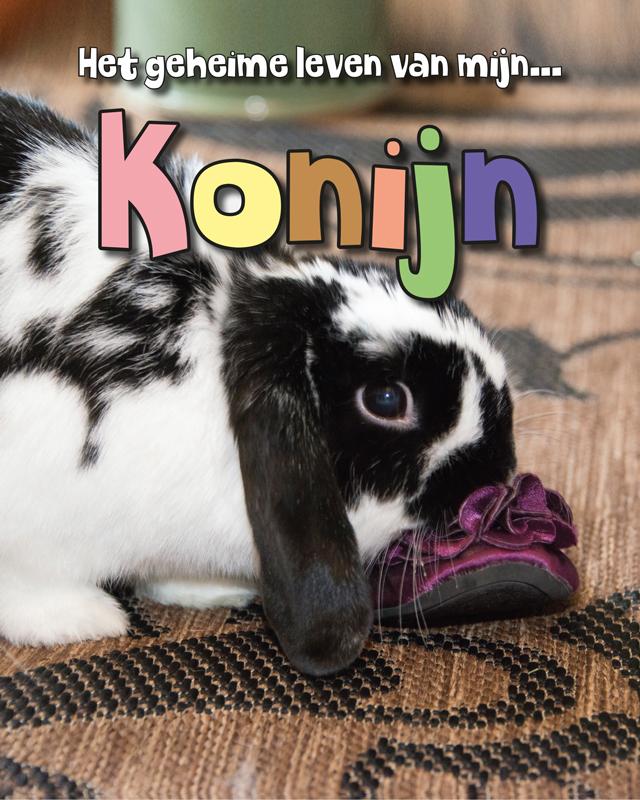 Konijn