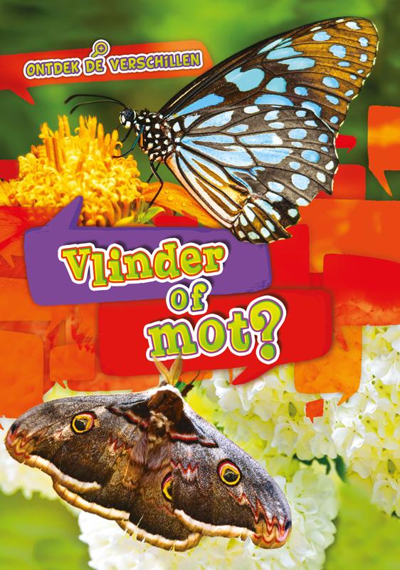 Vlinder of mot?