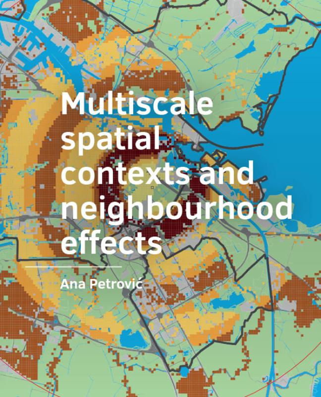 Multiscale spatial ­contexts and ­neighbourhood effects
