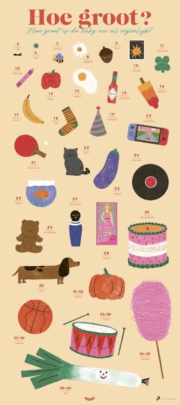 Poster Babygroeiposter
