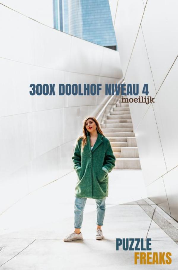 300X DOOLHOF NIVEAU 4