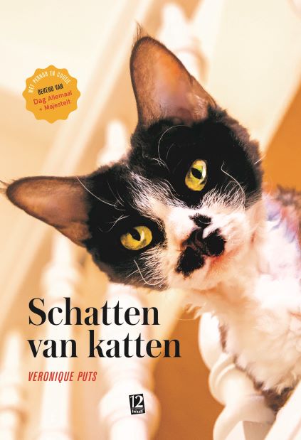 Schatten van katten