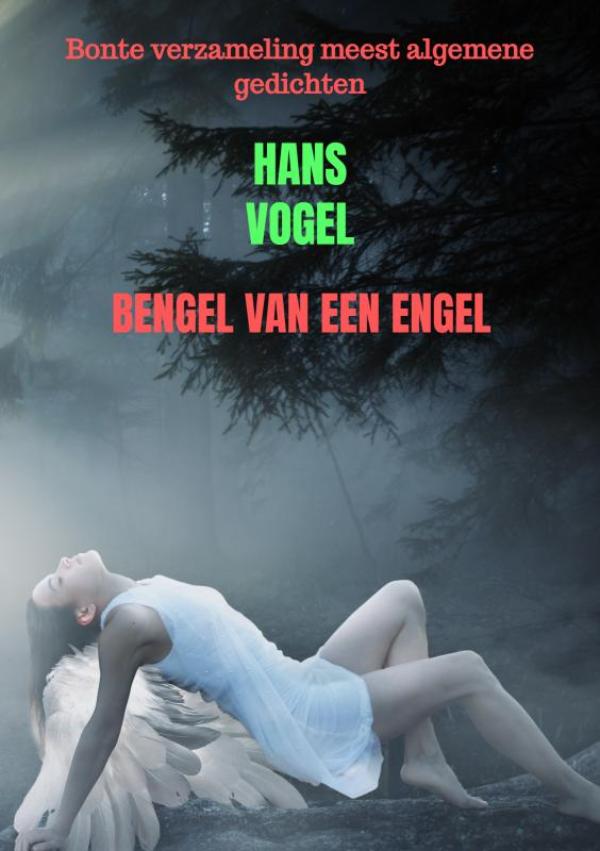 Bengel van een engel