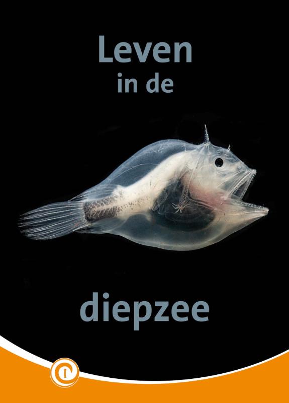 Leven in de diepzee