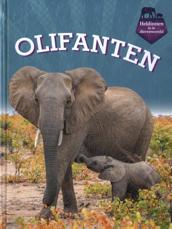 Olifanten