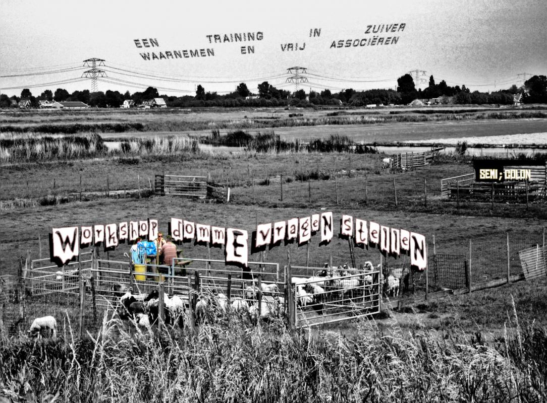 WorkshoP dommE vrageN stelleN