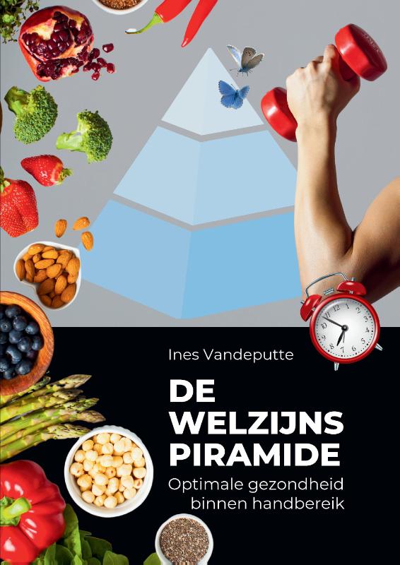 Welzijnspiramide