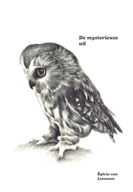 De mysterieuze uil