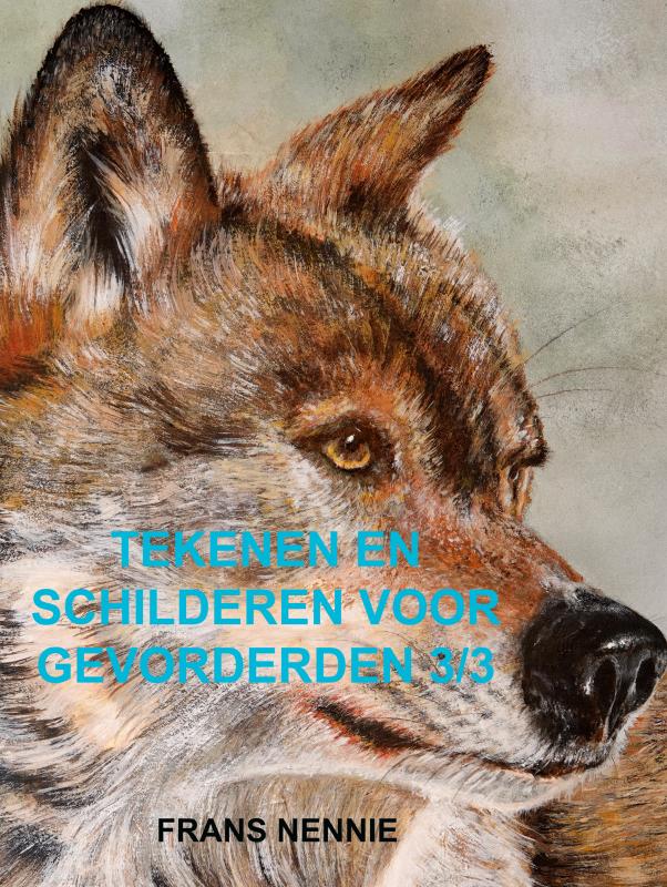 Tekenen en schilderen voor gevorderden