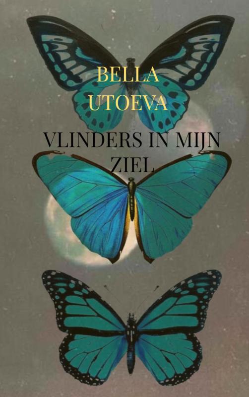 Vlinders in mijn ziel
