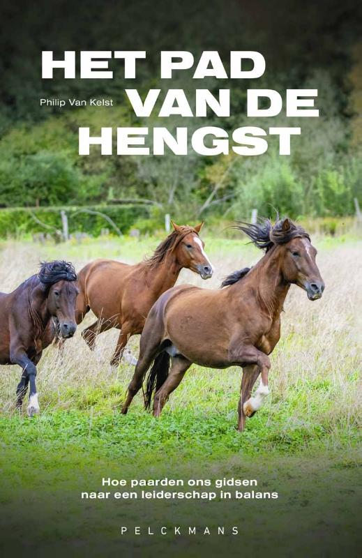 Het pad van de hengst