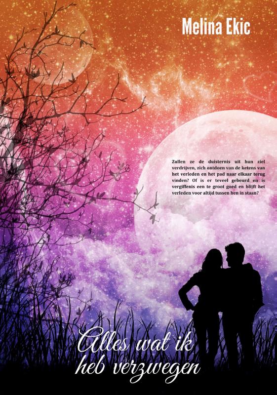 Alles wat ik heb verzwegen