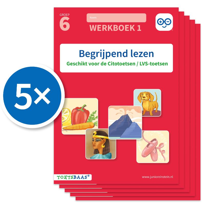 Begrijpend lezen werkboek 1 (Set van 5)