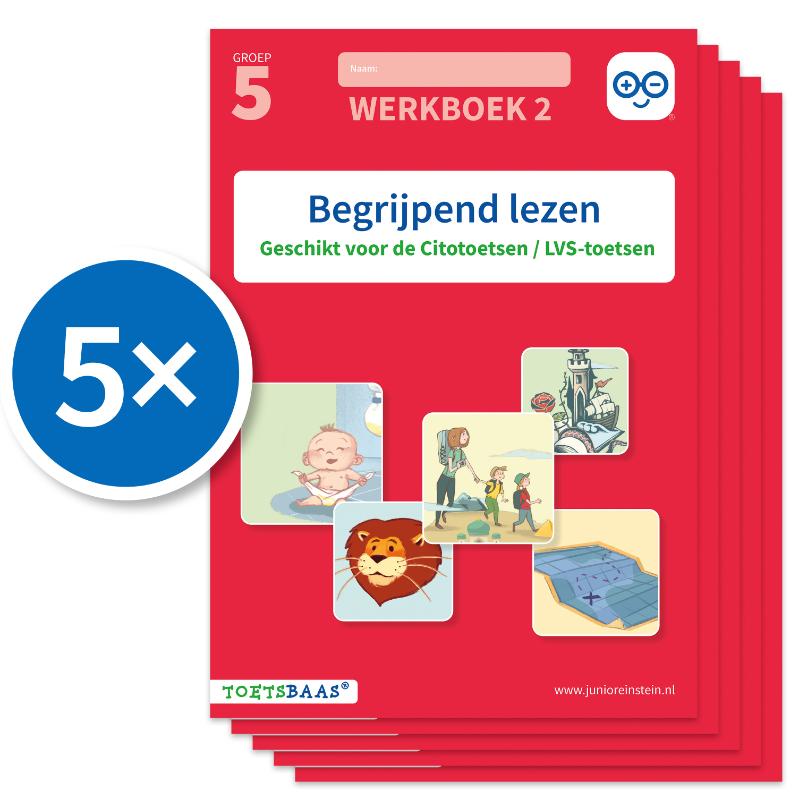 Begrijpend lezen werkboek 2 (Set van 5)