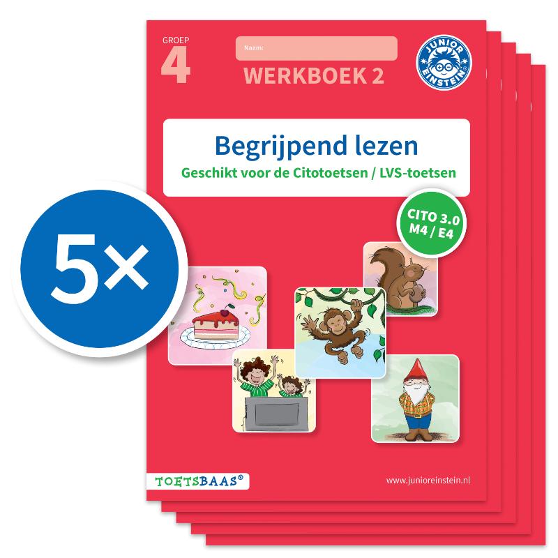 Begrijpend lezen werkboek 2 (Set van 5)