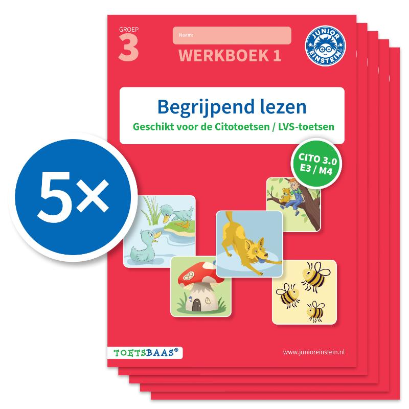Begrijpend lezen werkboek 1 (Set van 5)