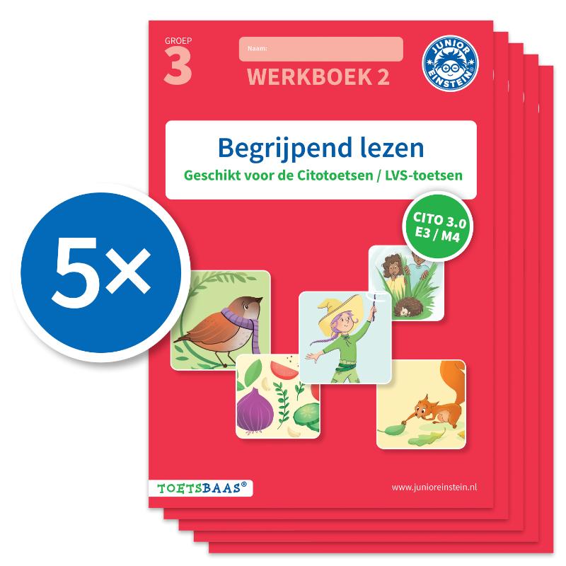 Begrijpend lezen werkboek 2 (Set van 5)