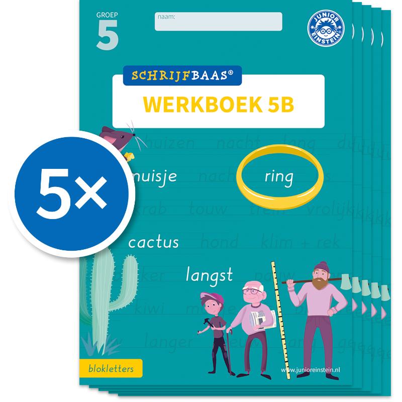 Schrijfbaas Blokletters Werkboek 5B (Set van 5)
