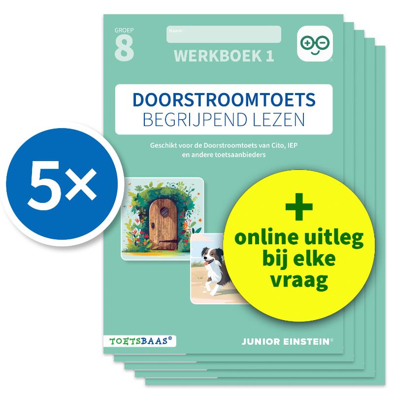 Doorstroomtoets Begrijpend lezen – Werkboek 1 + Online video-uitleg (set van 5)