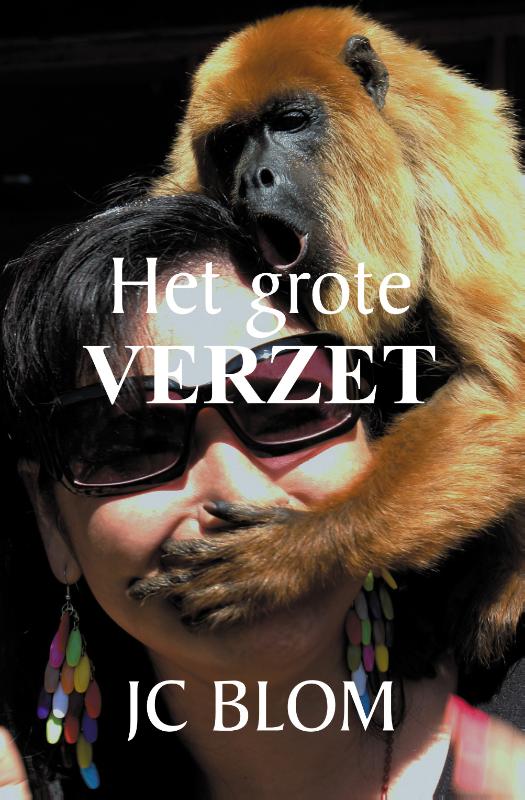 Het grote verzet