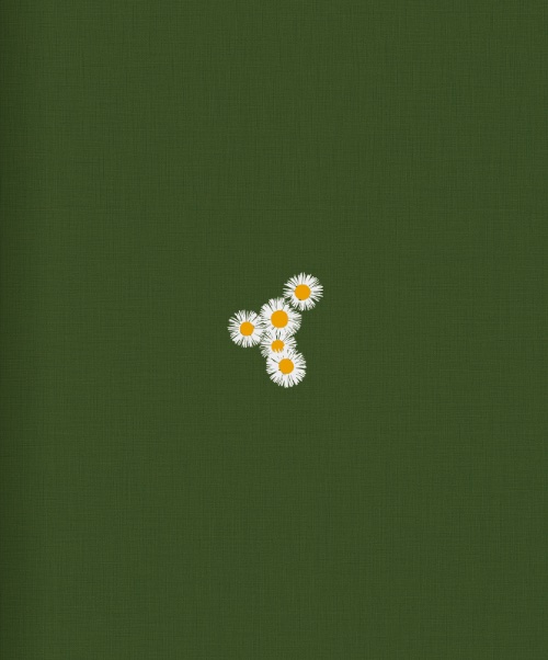 You don't need soil to grow