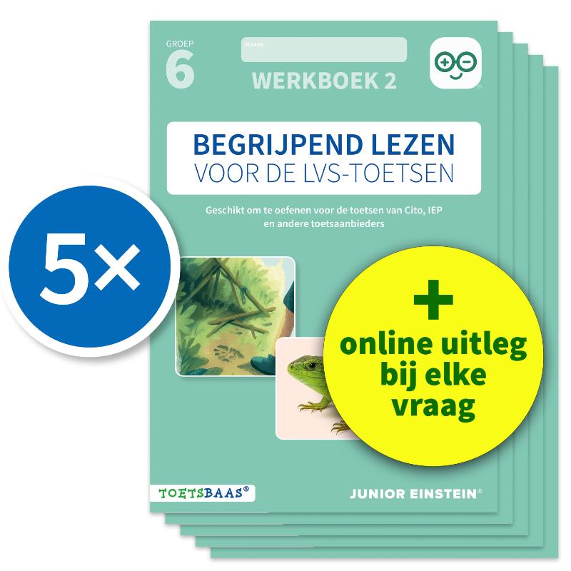 Begrijpend lezen voor de LVS-toetsen - Groep 6 - Werkboek 2 + Online video-uitleg (set van 5)