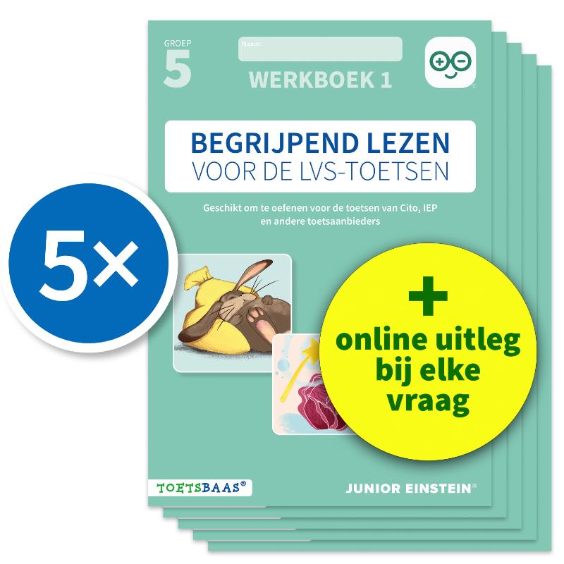 Begrijpend lezen voor de LVS-toetsen - Groep 5 - Werkboek 1 + Online video-uitleg (set van 5)