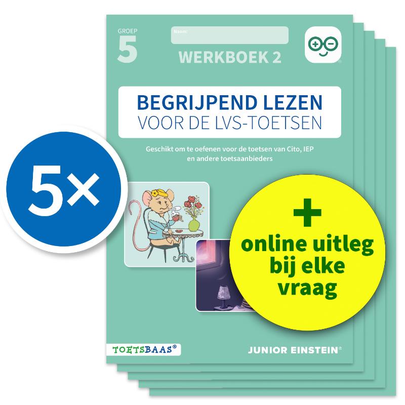 Begrijpend lezen voor de LVS-toetsen - Groep 5 - Werkboek 2 + Online video-uitleg (set van 5)