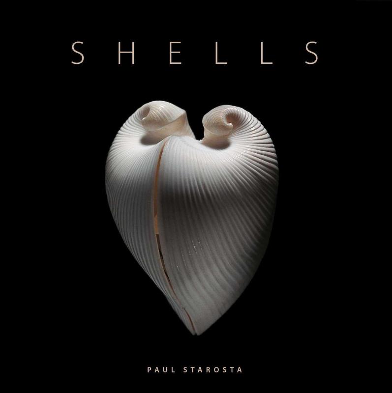Shells