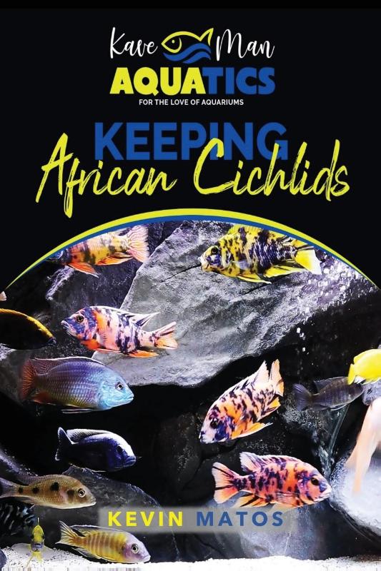 Keeping African Cichlids
