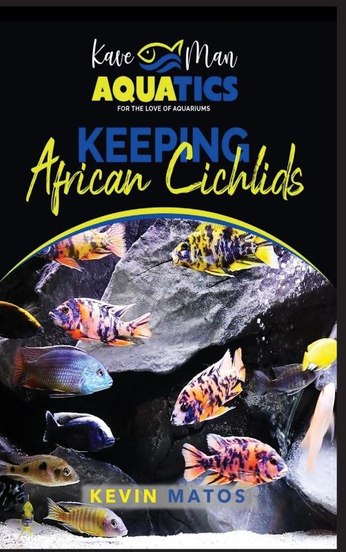 Keeping African Cichlids