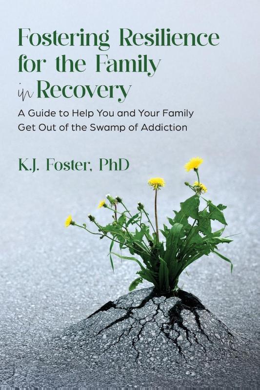 Fostering Resilience for the Family in Recovery