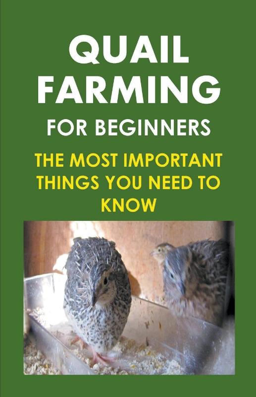 Quail Farming For Beginners