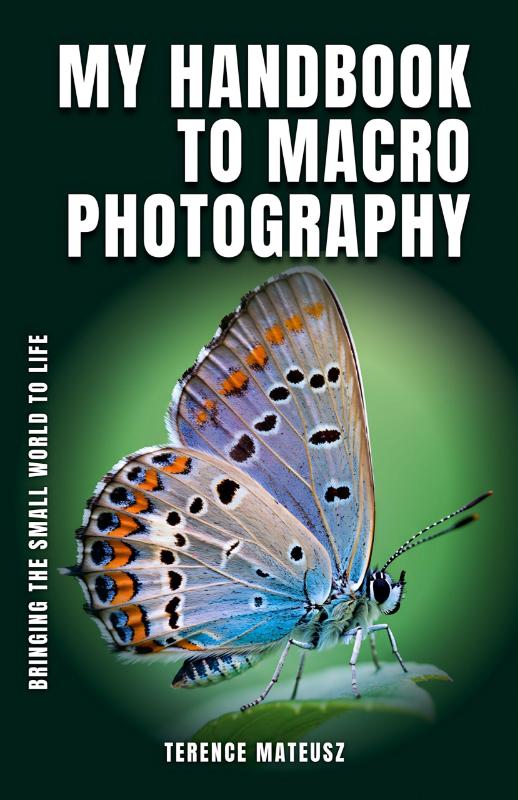 My Handbook to Macro Photography