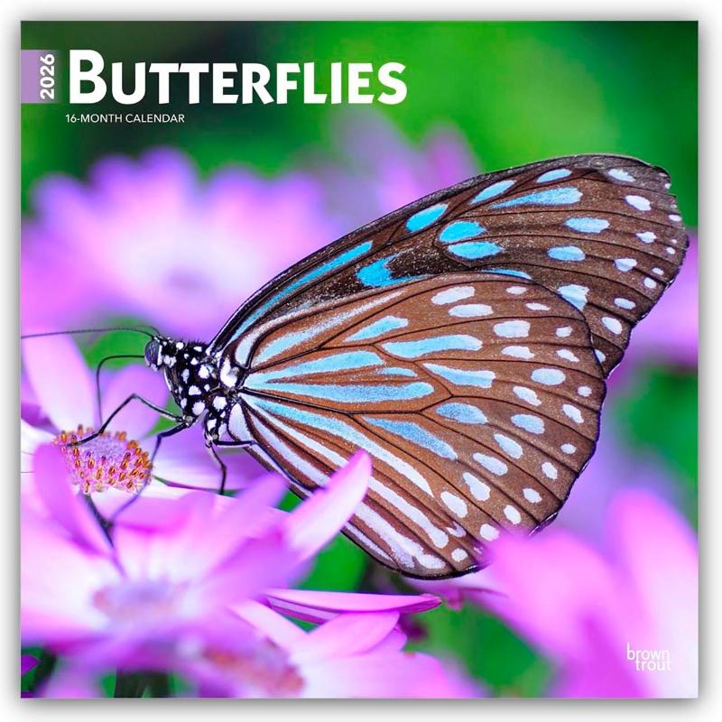 Browntrout: Butterflies 2026 12 X 24 Inch (Hanging) Monthly