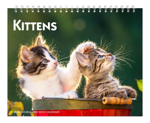 Kittens 2026 7.5 X 6 Inch Monthly Double-View Easel Desk Calendar
