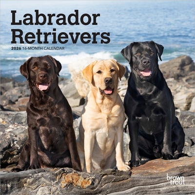 Labrador Retrievers 2026 7 X 14 Inch (Hanging) Monthly Mini Wall Calendar