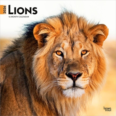 Lions 2026 12 X 24 Inch (Hanging) Monthly Square Wall Calendar Plastic-Free