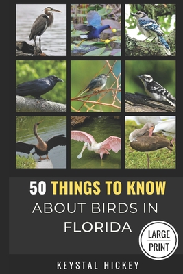 50 Things to Know About Birds in Florida: Birding in the Sunshine State