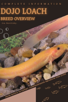 Dojo Loach: From Novice to Expert. Comprehensive Aquarium Fish Guide