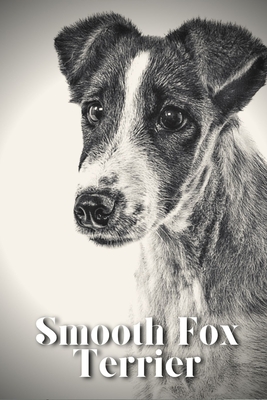 Smooth Fox Terrier: Dog breed overview and guide