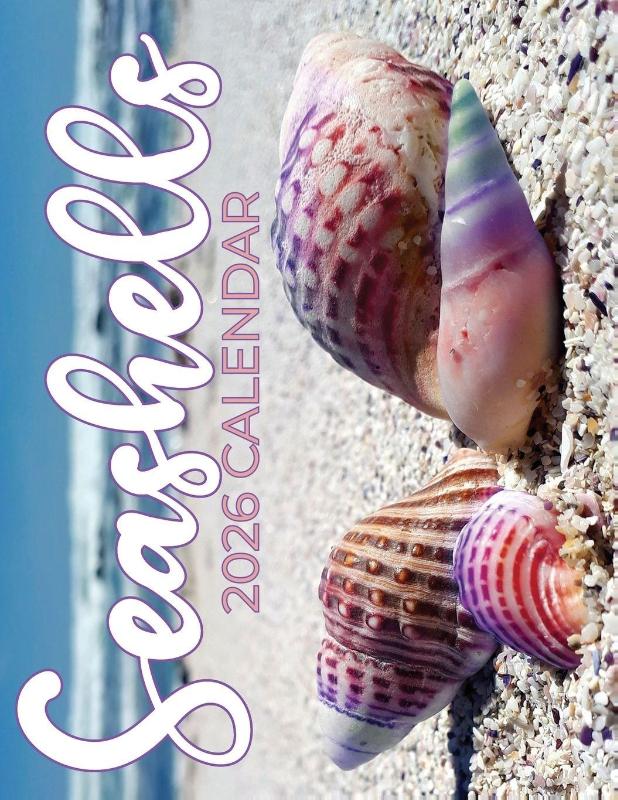Seashells 2026 Calendar