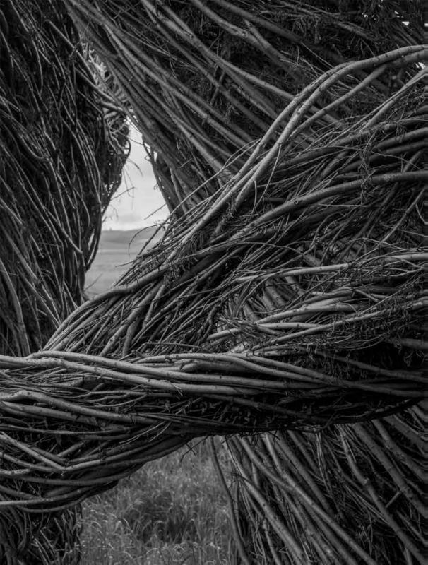 Patrick Dougherty | James Florio: Sticks