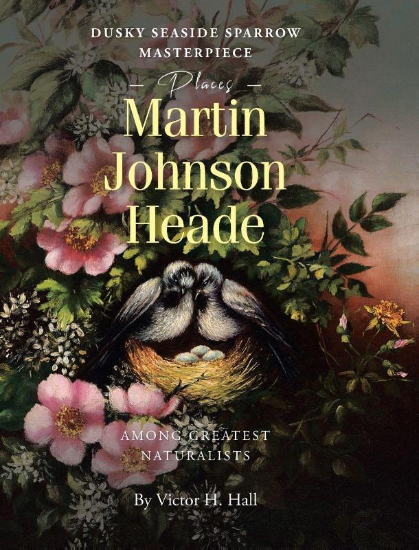 Dusky Seaside Sparrow Masterpiece Places Martin Johnson Heade Amongst Greatest Naturalists