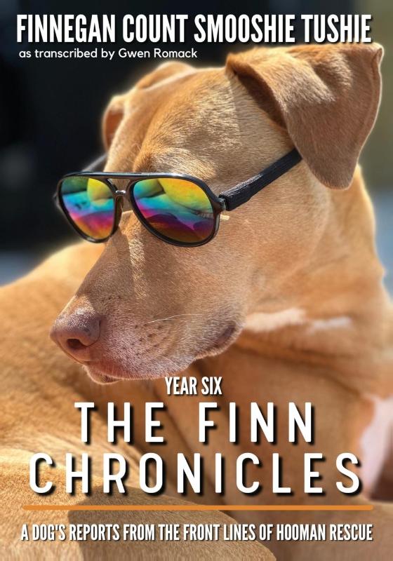 The Finn Chronicles