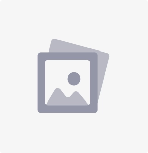 Het woord en het beeld